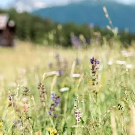 Restaurant Buerchnerhof Бюрхен
