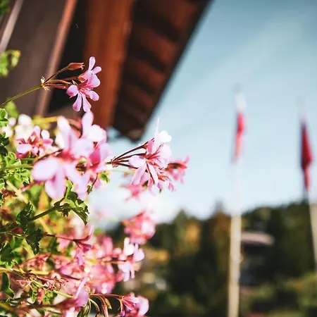 Hotel Haus Buerchnerhof 3*