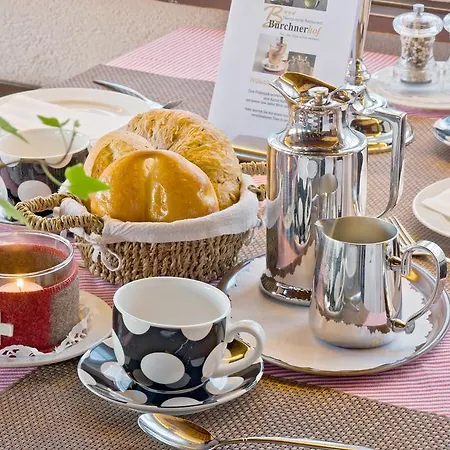 Haus Buerchnerhof Hotel Bürchen