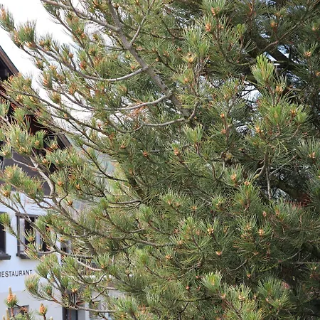 Restaurant Buerchnerhof 3*