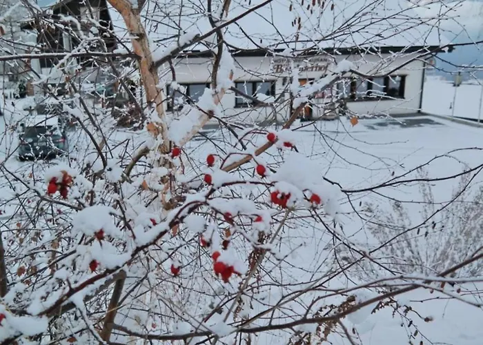 Restaurant Buerchnerhof 3* Bürchen