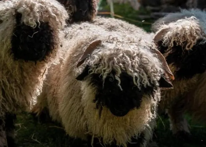 Restaurant Buerchnerhof