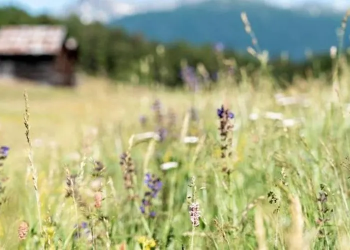 Restaurant Buerchnerhof Bürchen