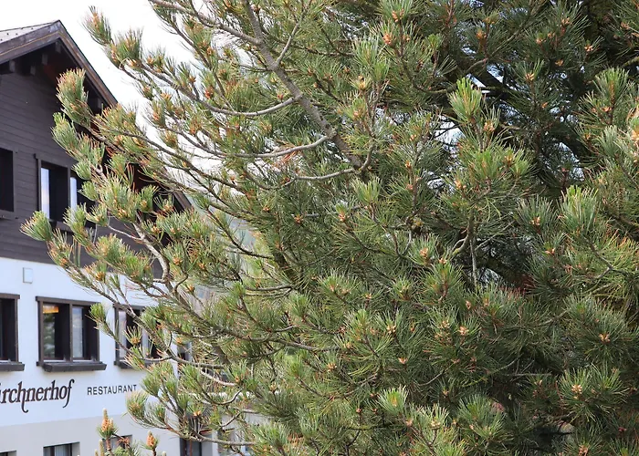 Restaurant Buerchnerhof 3*