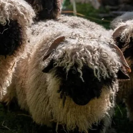 Restaurant Buerchnerhof